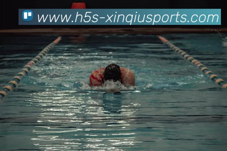 新球体育网址平台生态图