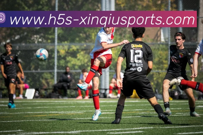 新球体育网址APP 封面图